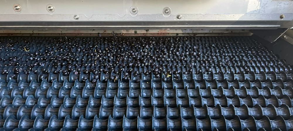 domaine-adh_elevage tri