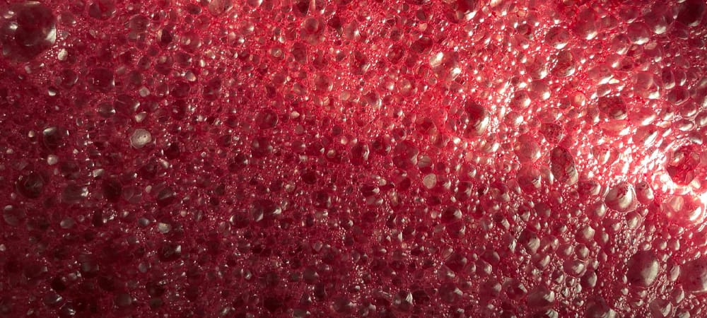 domaine-adh_elevage vin