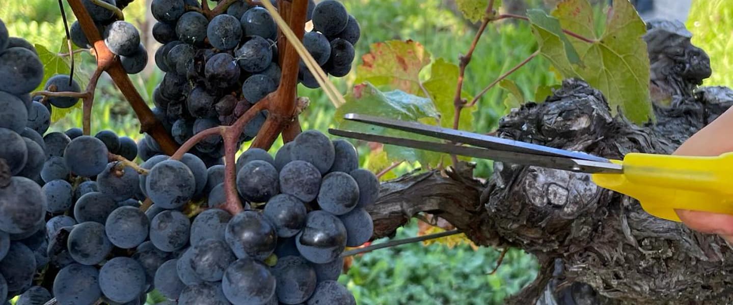 domaine-adh_carroussel 02