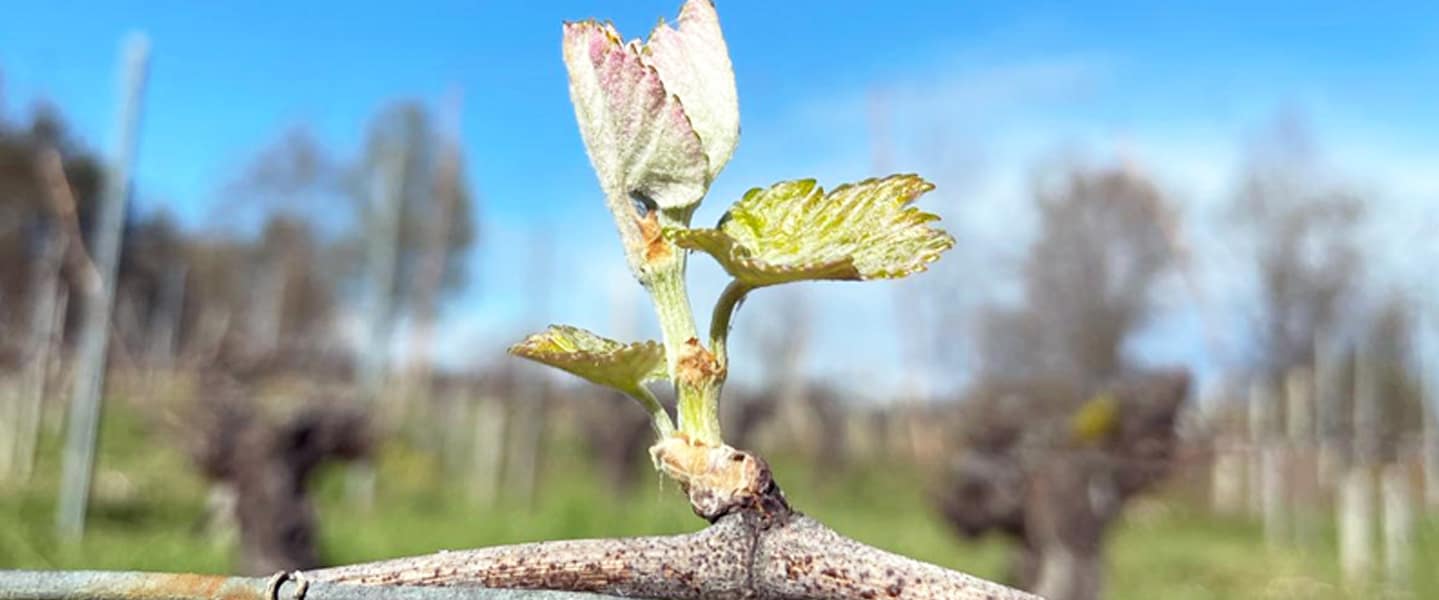 domaine-adh_carroussel 03