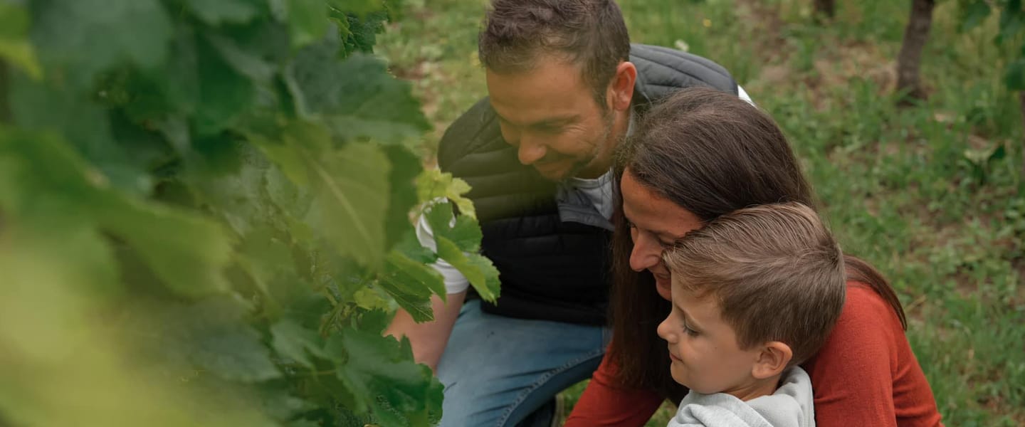 domaine adh portrait de famille dans la vigne