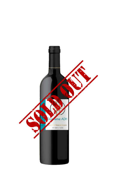 Vin de Garage 2021