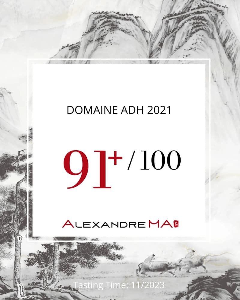 domaine-adh_castillon_vigne_Alexandre-MA