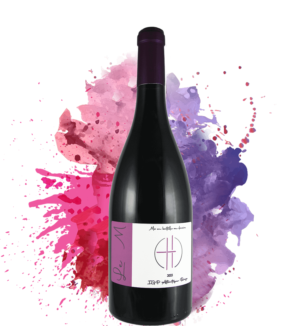LE M-domaine adh vin de garage rouge castillon