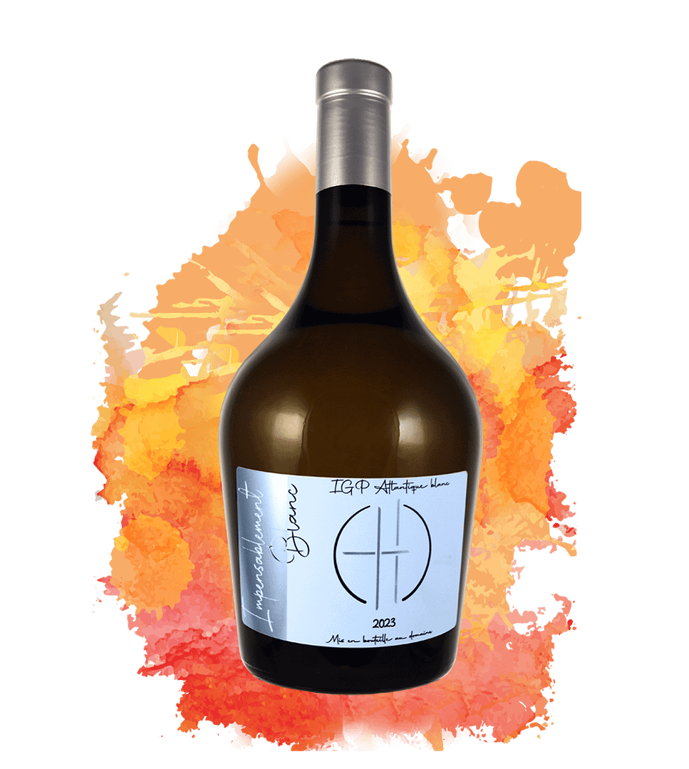 V2-impensablement blanc copie